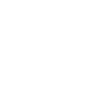 ducati_logo_white